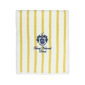 Cabana Beach Towel