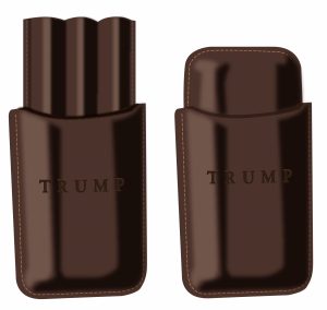 Cigar Case