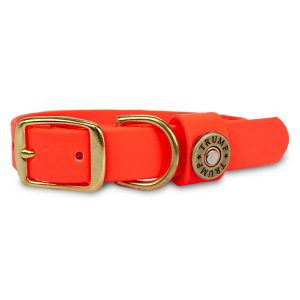 Water Dog Collar - Orange - 17"